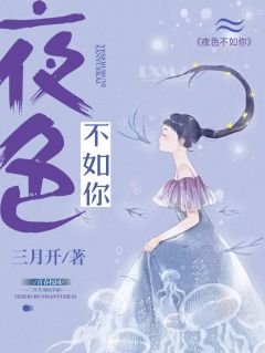 主角叫沈钰纪以容的小说是什么 夜色不如你全文免费阅读