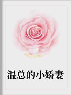 温总的小娇妻免费阅读 蓝瑾恩温宸瀚小说全文在线阅读