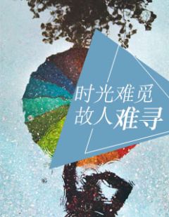 主角叫沈湘陆励行的小说是什么 时光难觅，故人难寻全文免费阅读