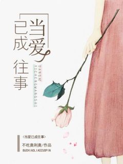 主角是苏若晏南衡的小说在线阅读 当爱已成往事免费阅读