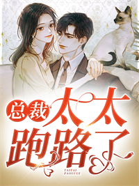 主角叫傅黎陆烬的小说是什么 总裁，太太跑路了全文免费阅读