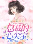 主角叫周晓苒陆峥的小说是什么 奉子成婚：总裁的心尖宝全文免费阅读