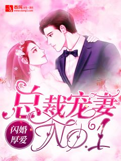 主角叫苏北路南的小说是什么 闪婚厚爱：总裁宠妻NO.1全文免费阅读