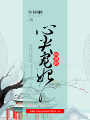 主角叫叶枣四爷的小说是什么 四爷，妾身有礼了全文免费阅读