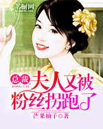主角叫乔鸿哲傅婉婷的小说是什么 总裁，夫人又被粉丝拐跑了全文免费阅读
