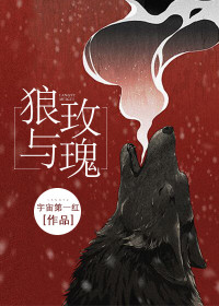 《狼与玫瑰》姜茴陈涞小说在线阅读