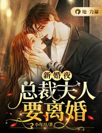 主角叫林瓷白崇渊的小说是什么 新婚夜，总裁夫人要离婚全文免费阅读