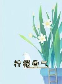 主角叫陆铮阿辞的小说是什么 柠檬香气全文免费阅读